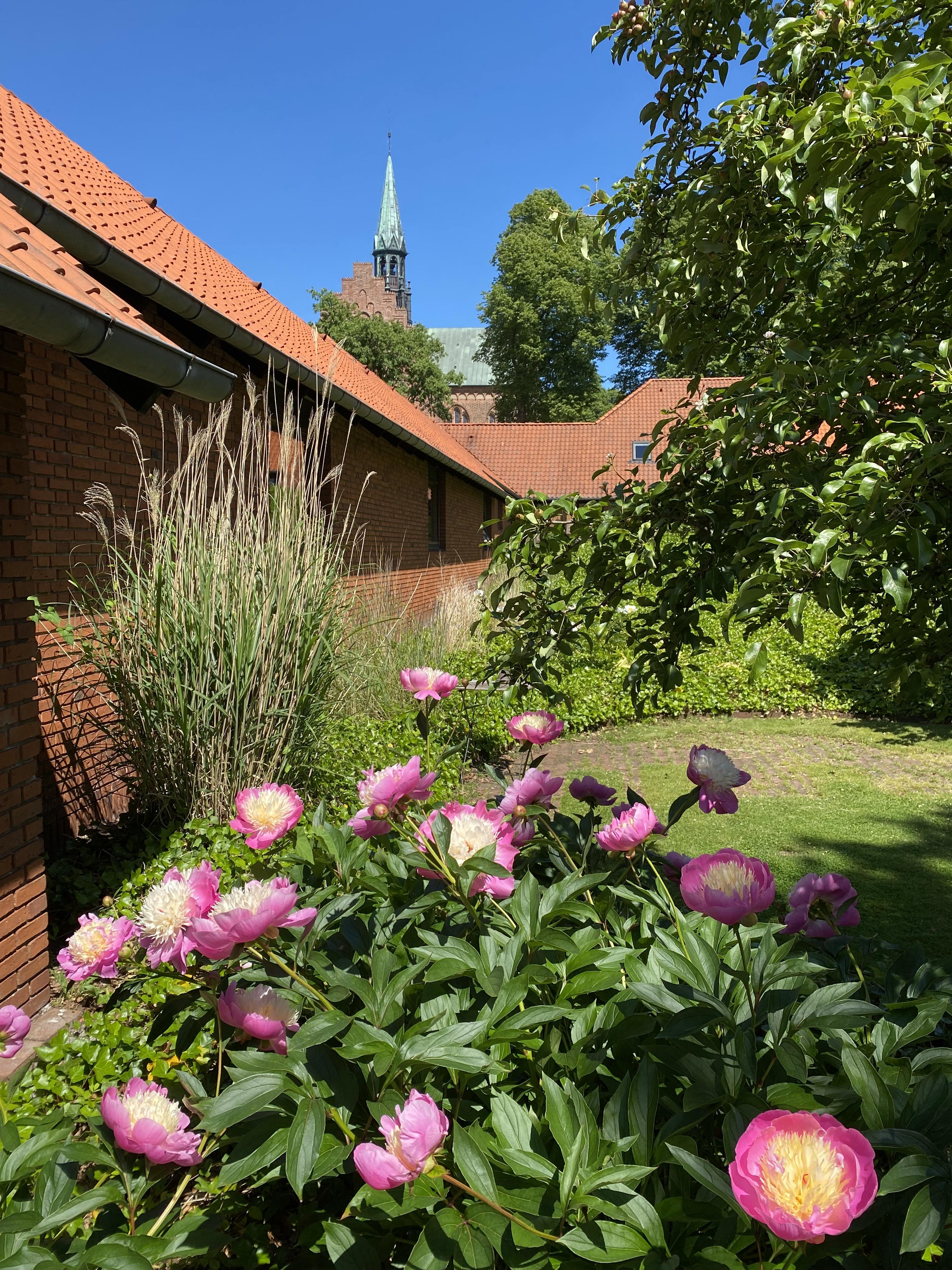 Til jobannonce efter rengøringspersonale