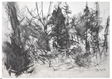 Peter Bastian, sort kul, Draved skov