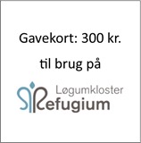 gavekort300