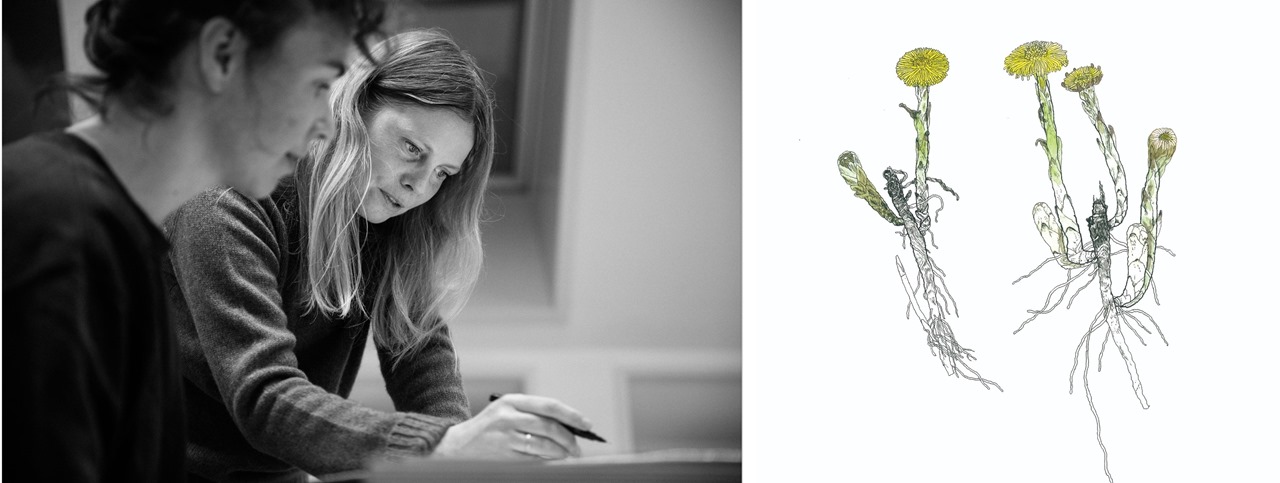 collage_Signe_parkins_følfod