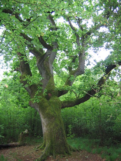 april-maj 07 037