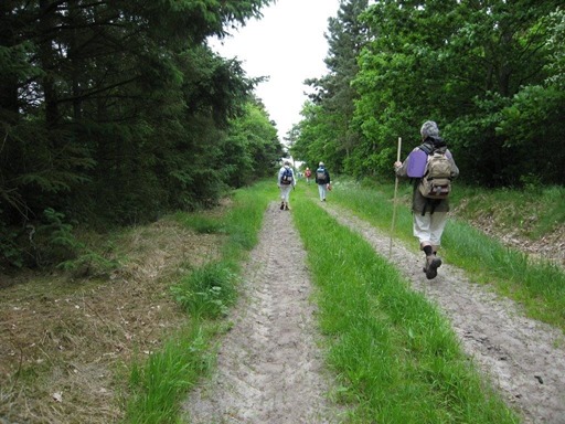pilgrim2 (1)