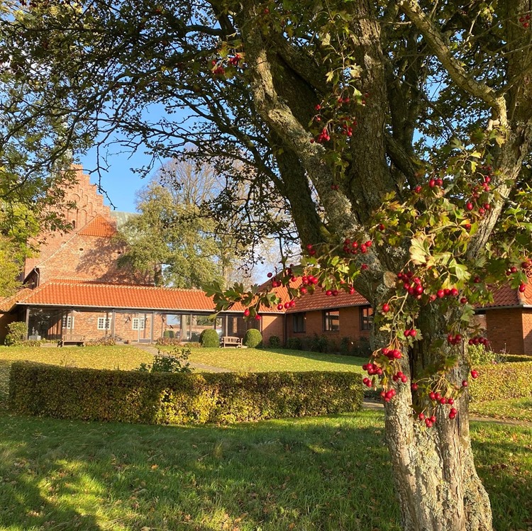 Nyt foto øverst