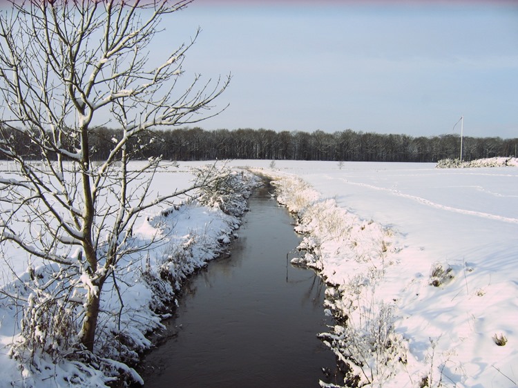 decembersne 09 066